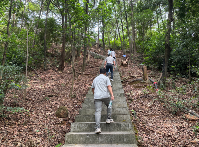万原铝原素展旗楼团建活动222.png
